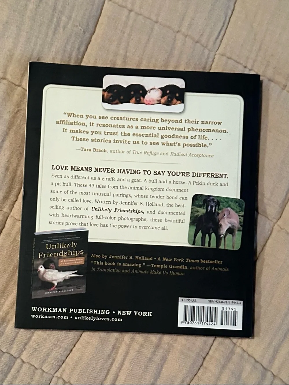 Unlikely Loves by - Jennifer S. Holland